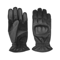 Motorcycle gloves